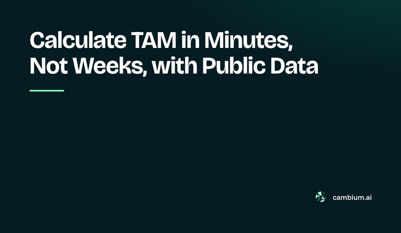 How to calculate Total Addressable Market (TAM)