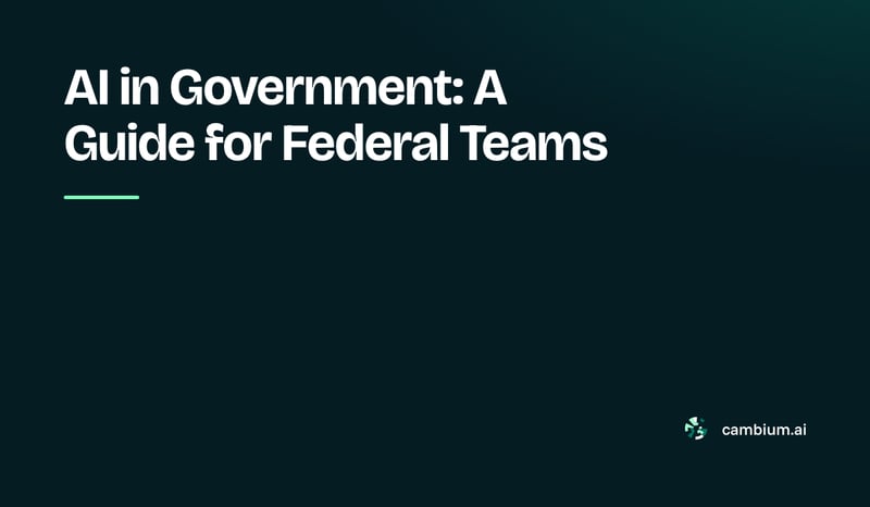 AI In Government