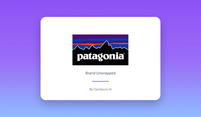 25 Brands Unwrapped: Day 3 - Patagonia