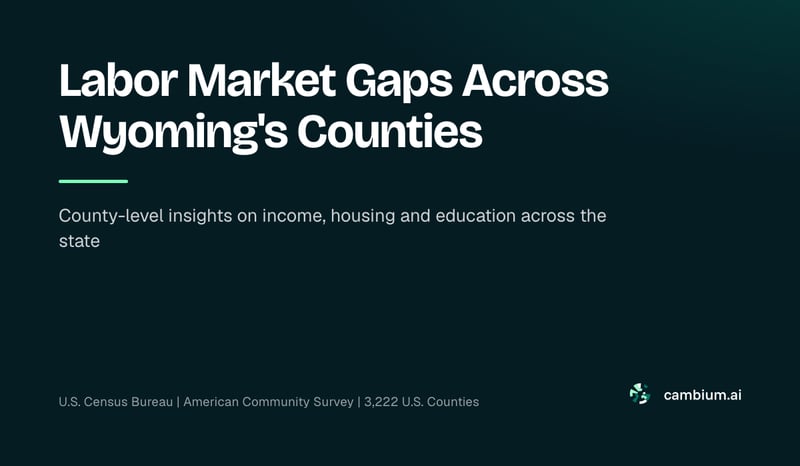 Labor Market Gaps Across Wyoming's Counties