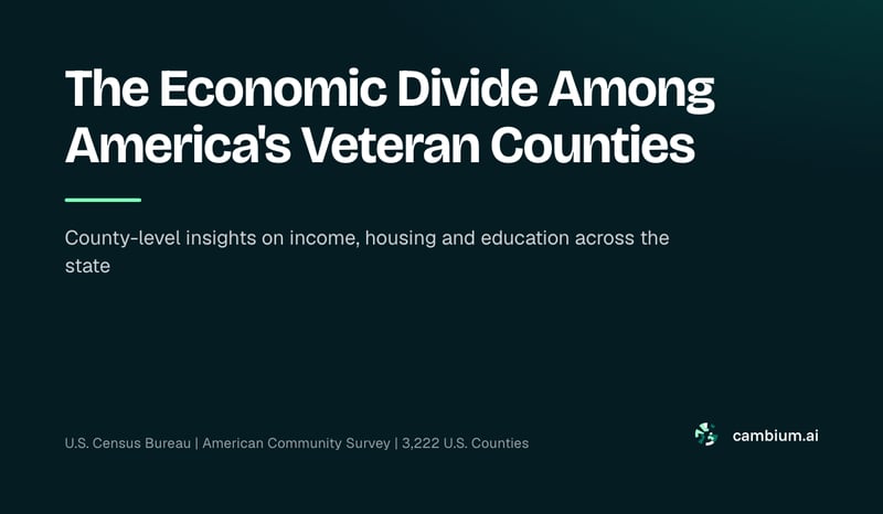 The Economic Divide Among America's Veteran Counties