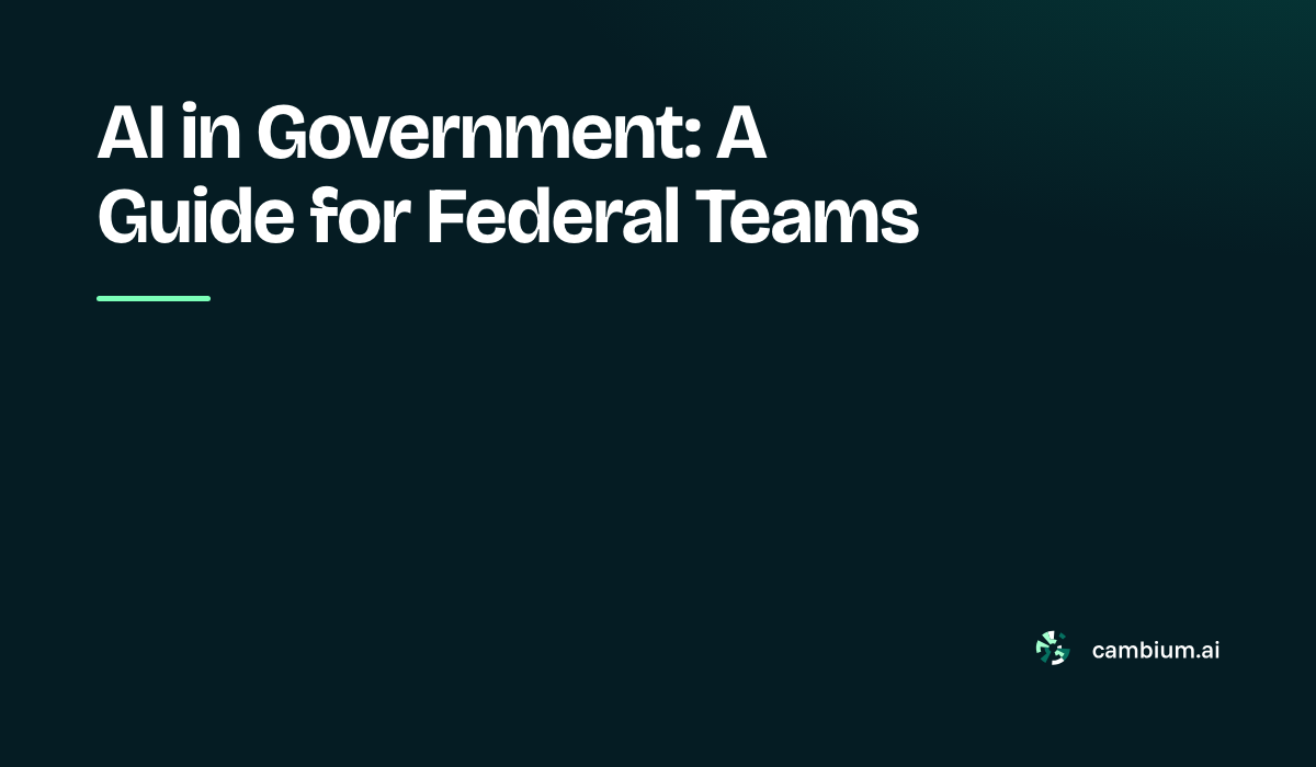 AI In Government