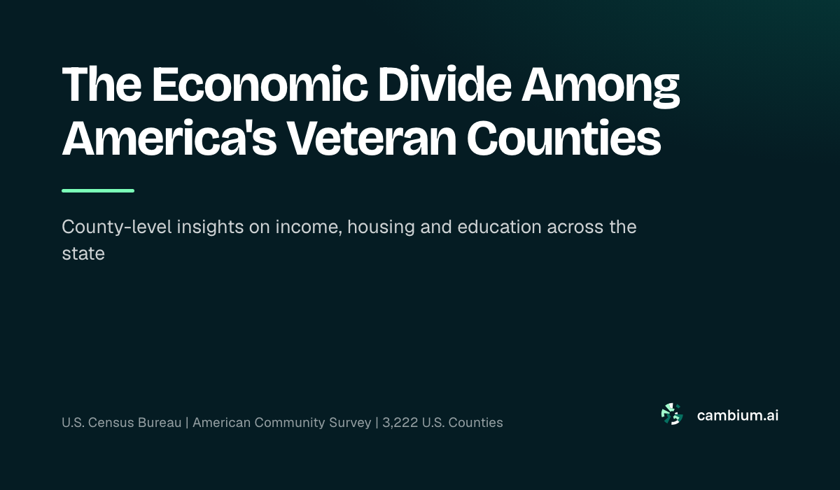 The Economic Divide Among America's Veteran Counties